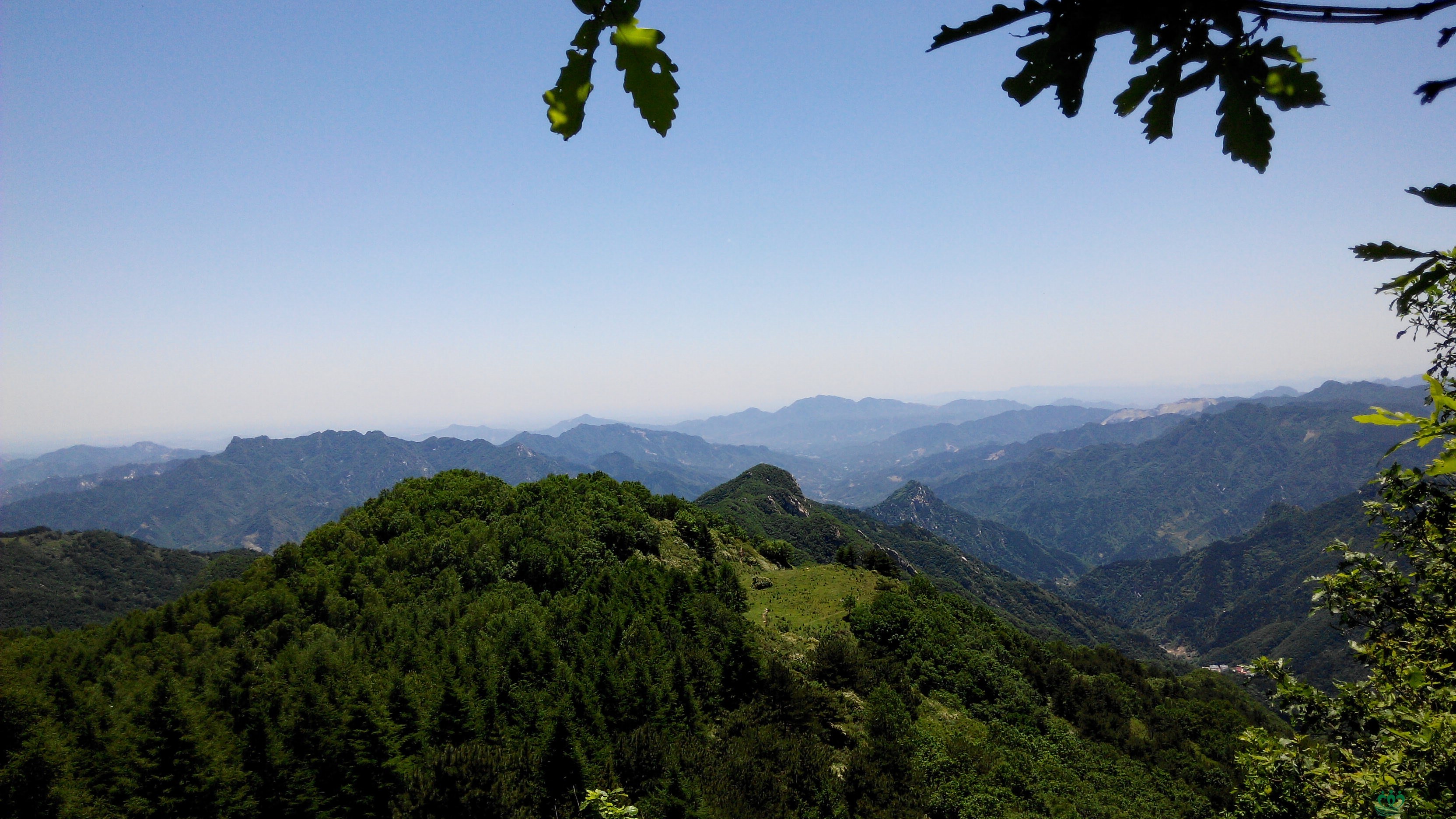 IMG_20140607_115147.jpg