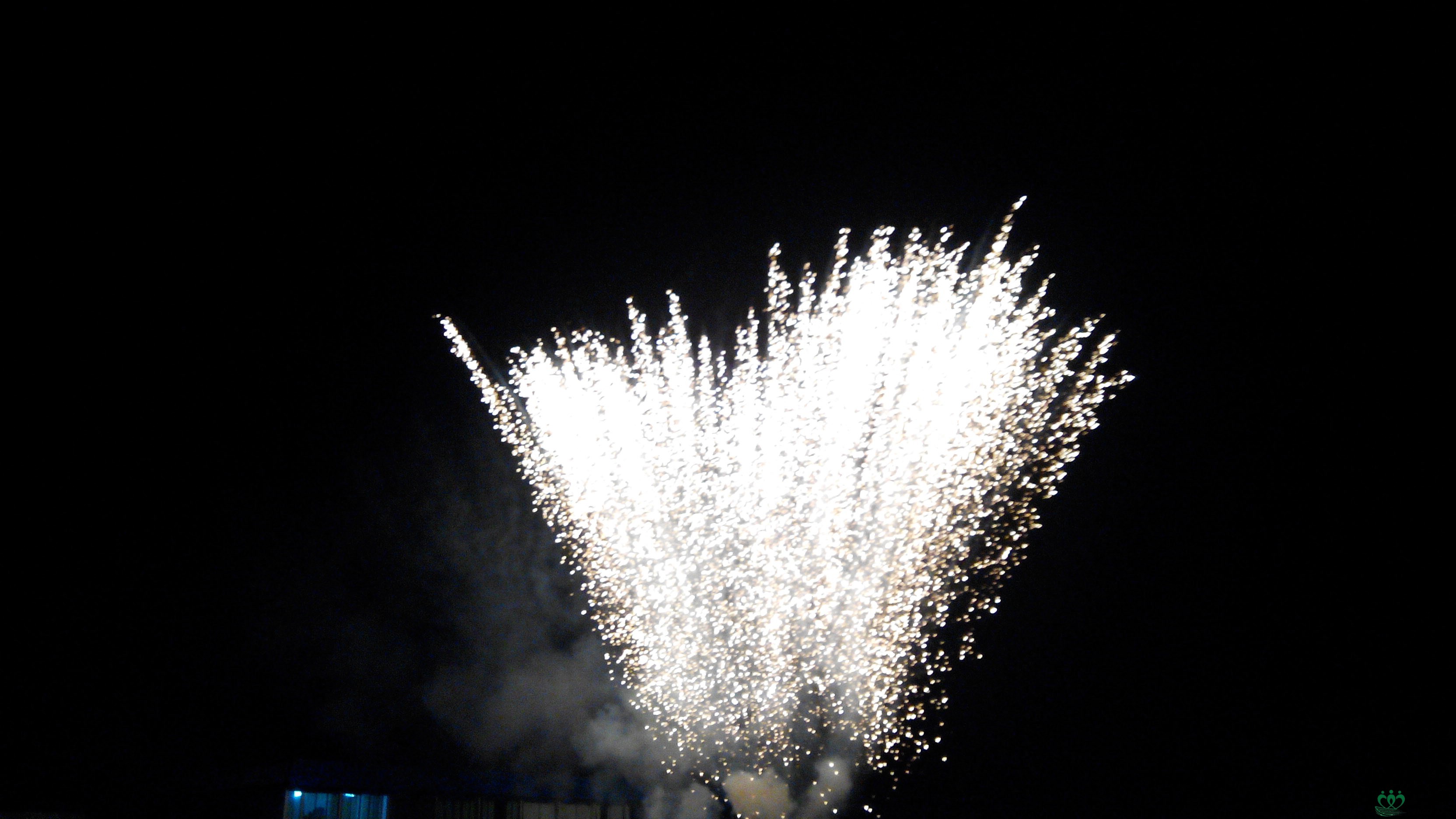 IMG_20140705_205003.jpg
