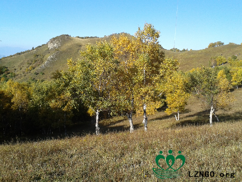 20140927_154909.jpg