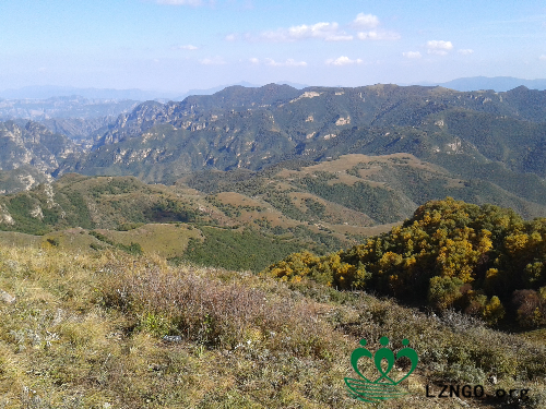 20140927_144244.jpg