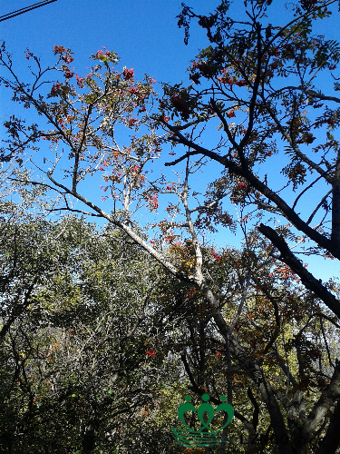 20140927_112646.jpg