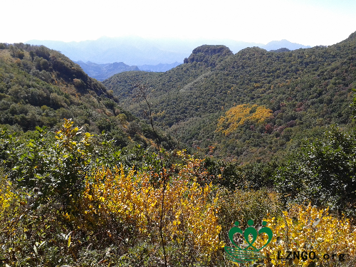 20140927_105538.jpg