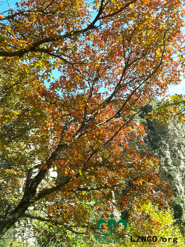 20140927_103940.jpg