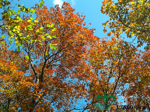 20140927_103930.jpg