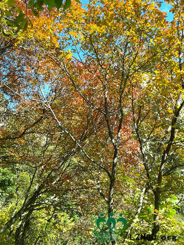 20140927_103916.jpg