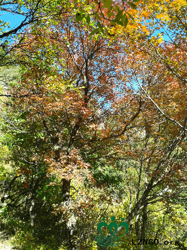 20140927_103901.jpg