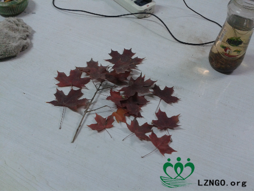 20141029_224437.jpg