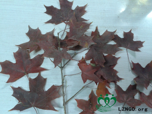 20141029_224426.jpg