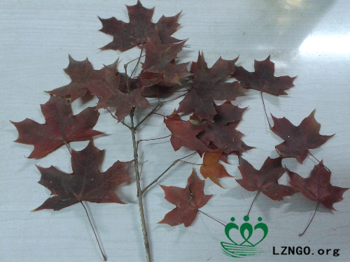 20141029_224348.jpg