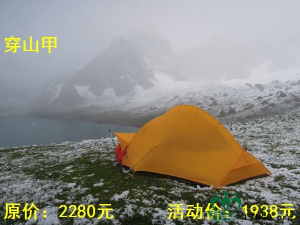 穿山甲.jpg