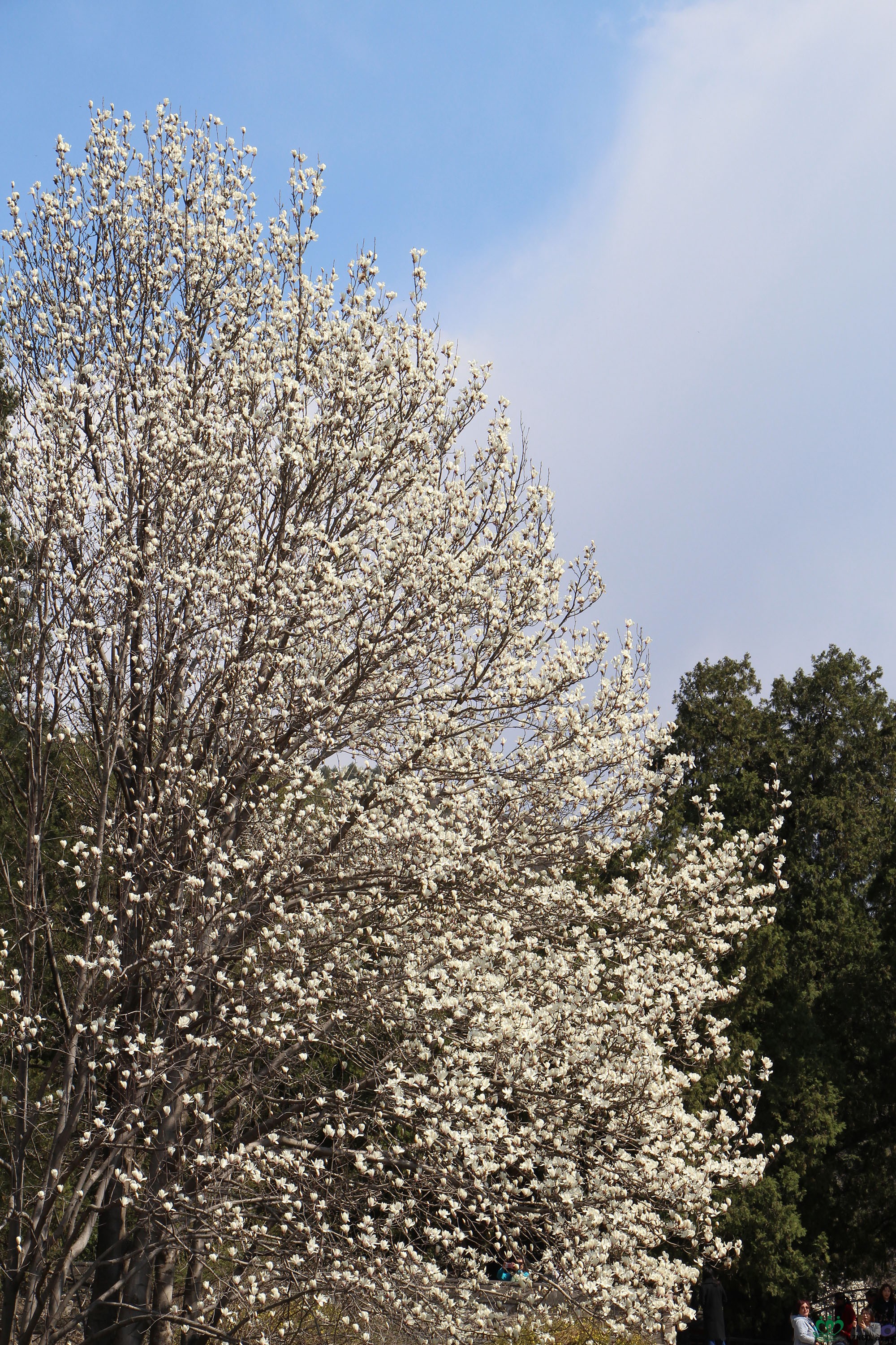IMG_2786.jpg
