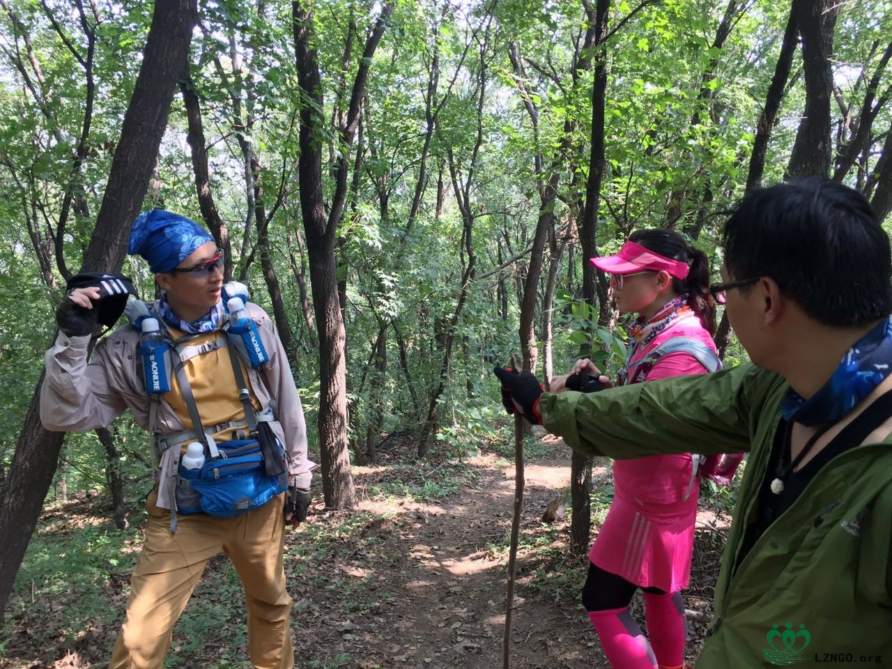 去哪偷枣